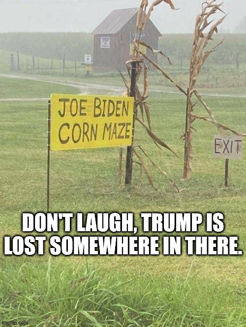 Trump is lost. Imgflip