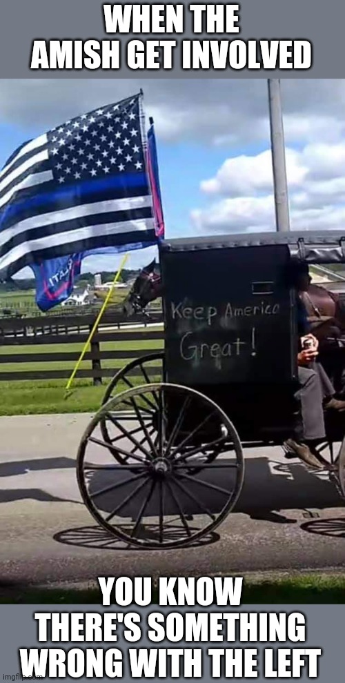 I'M SEEING MORE AND MORE AMISH BUGGIES WITH TRUMP FLAGS Imgflip