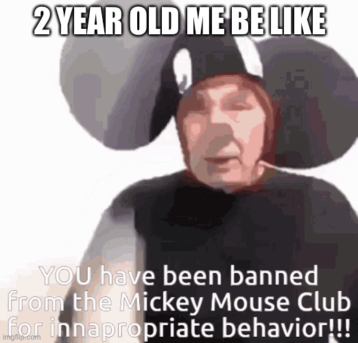 Image tagged in funny meme Imgflip