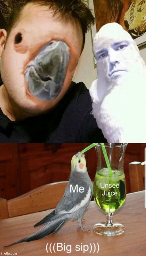 Creepy Face Swap That dood and a parrot Imgflip