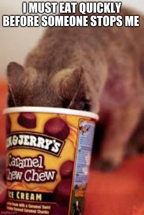 Image tagged in cats eating ice cream Imgflip