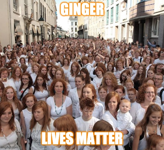 ginger lives matter Imgflip