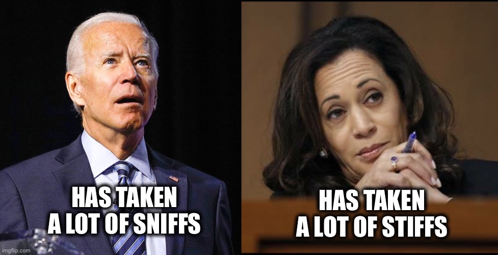 Joe/Hoe Knee Pads and Pee Pads Imgflip