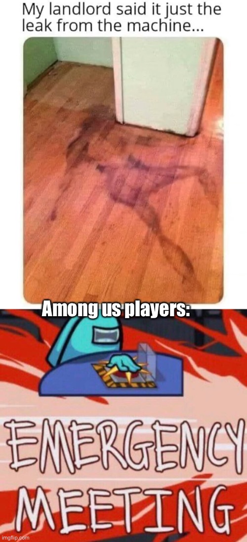 Dead body reported Imgflip