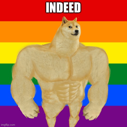 Is a homophobe planning to run in ImgFlip’s next election? Imgflip