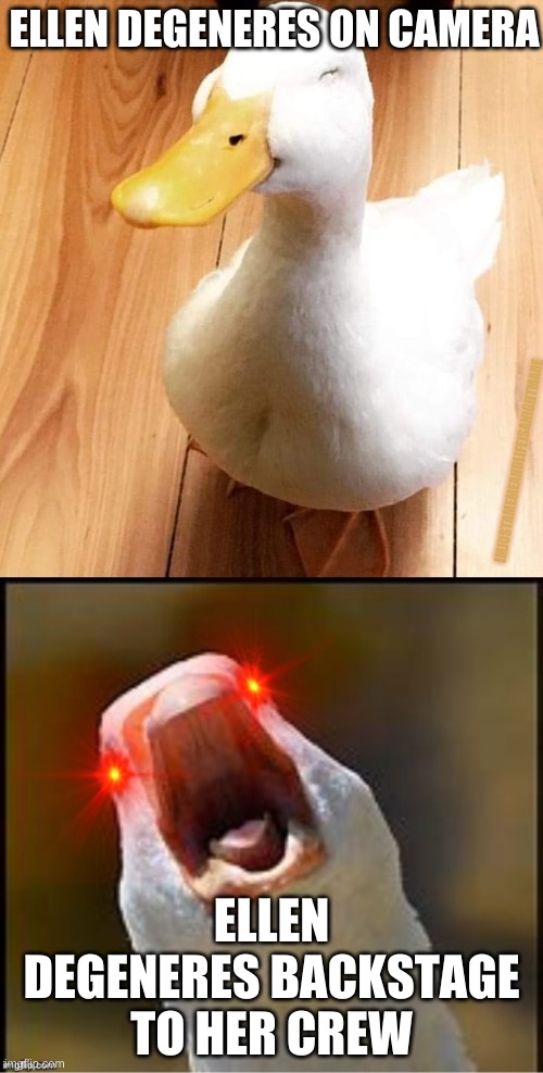 Ellen but as a duck Imgflip