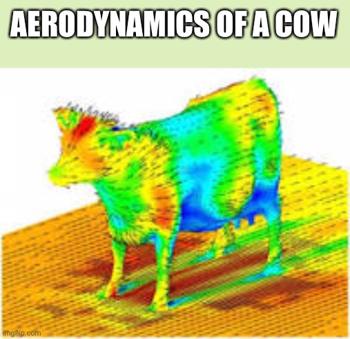 Image tagged in aerodynamics of a cow Imgflip