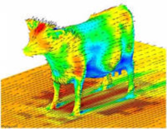 Image tagged in aerodynamics of a cow Imgflip