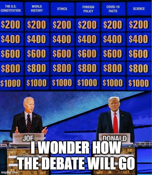 I wonder how the debate will go ) Imgflip