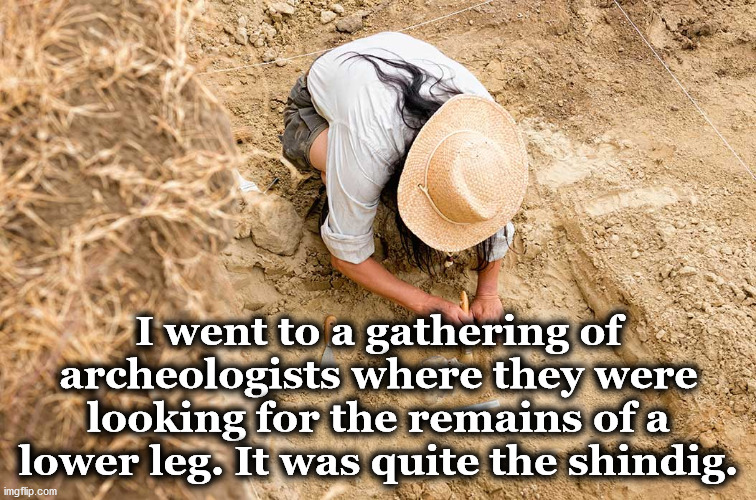 dig Memes & GIFs Imgflip