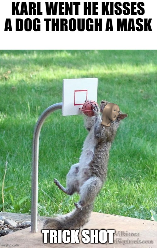 Squirrel basketball Imgflip