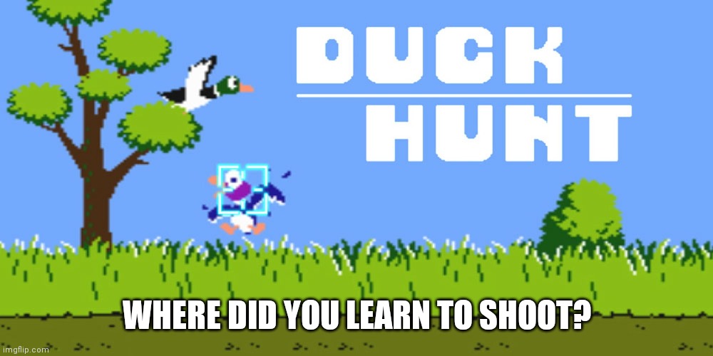 duck hunt Memes & GIFs Imgflip
