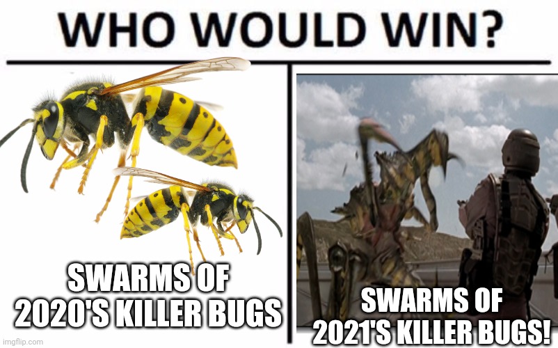 Killer bugs Imgflip