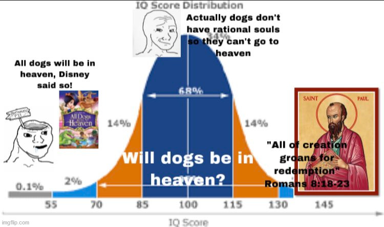Image tagged in dogs,iq,heaven,graph,bell curve Imgflip