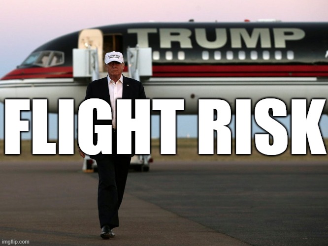 politics flight risk Memes & GIFs Imgflip