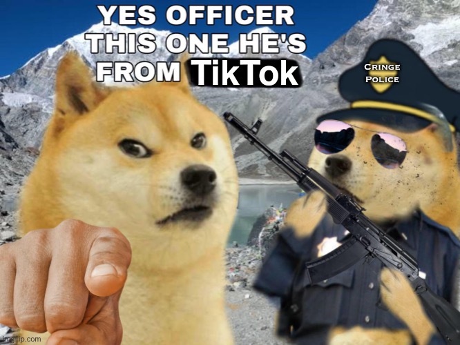 Image tagged in doge,tik tok,tiktok,cringe,cringe police Imgflip