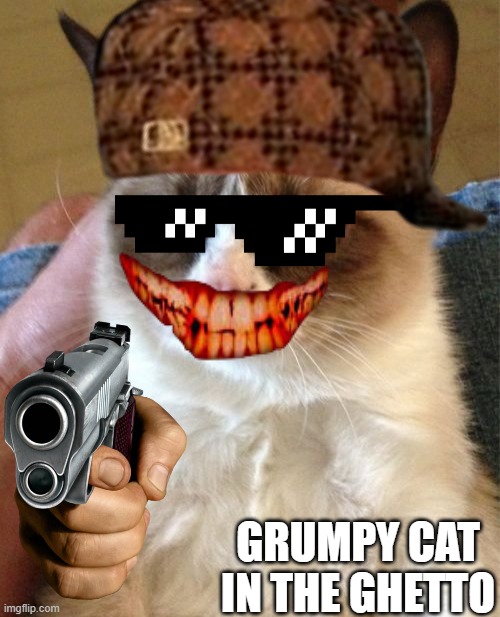 Grumpy cat Imgflip