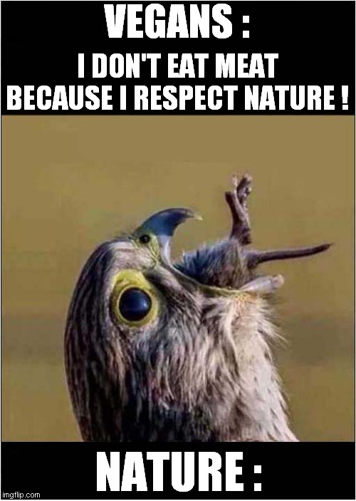 nature Memes & GIFs Imgflip