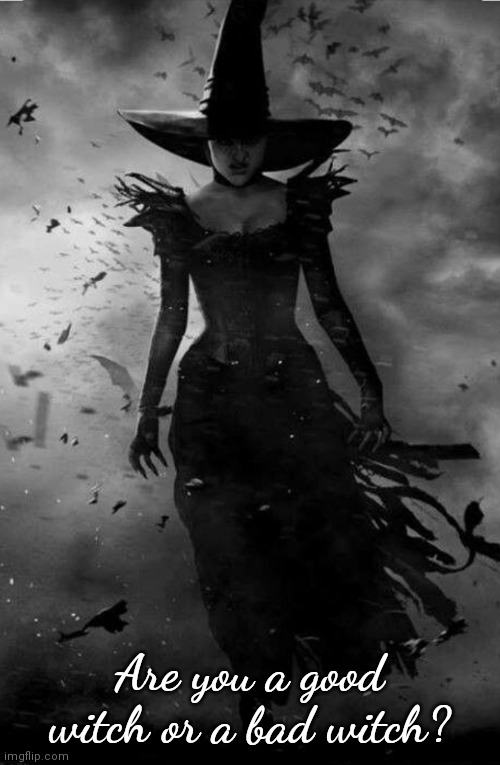 Witch, good or bad Halloween Imgflip