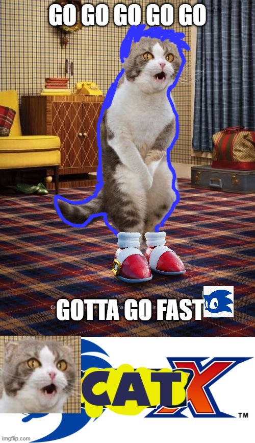 gotta go fast Memes & GIFs Imgflip