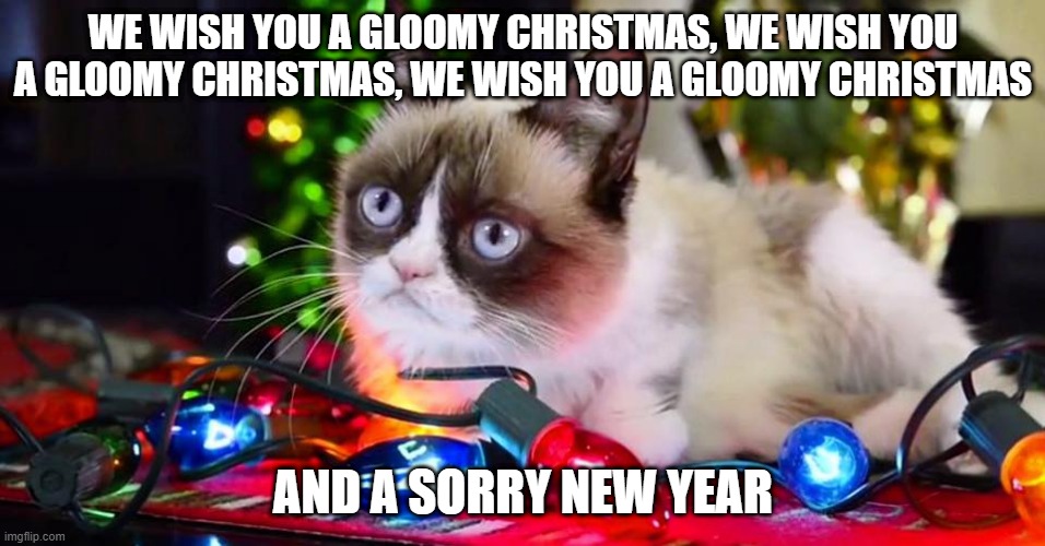 Grumpy Cat Christmas Lights Imgflip