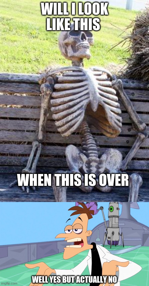 Image tagged in memes,waiting skeleton Imgflip