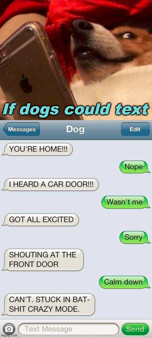 Dog Texting Imgflip