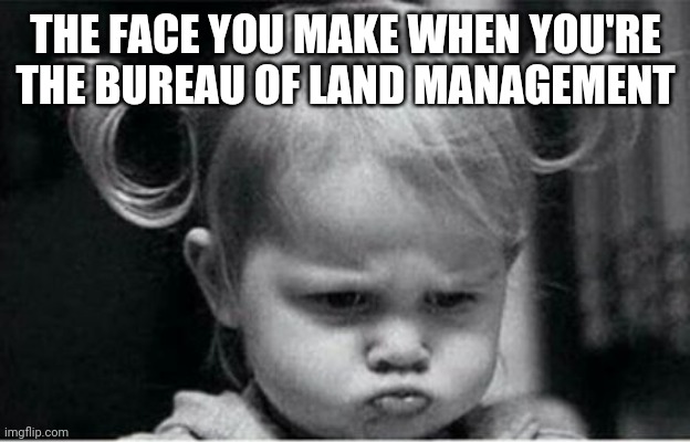 Image tagged in angry baby girl Imgflip