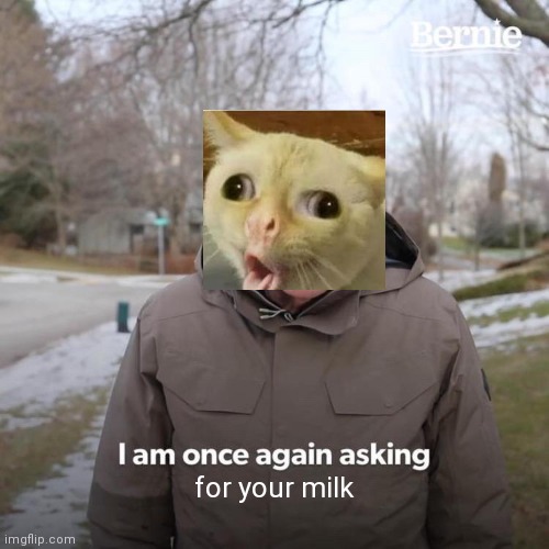 If you ask politely...... Imgflip