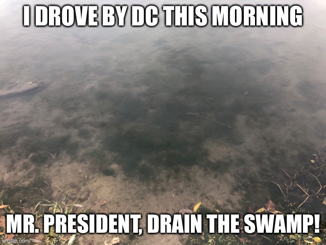 Drain the Swamp Imgflip