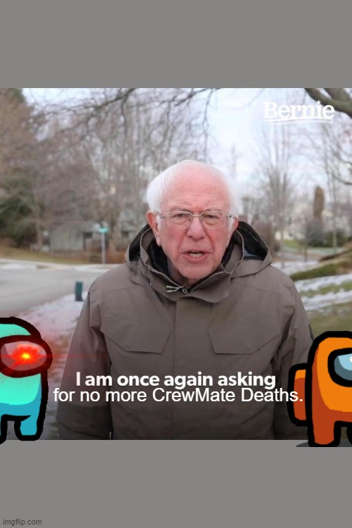 Bernie I Am Once Again Asking For Your Support Meme Imgflip