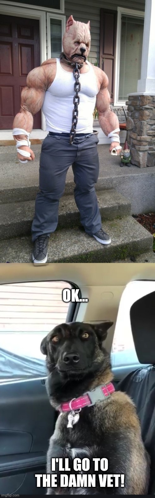 MAYBE THEY SHOULD BOTH GO TO THE VET Imgflip