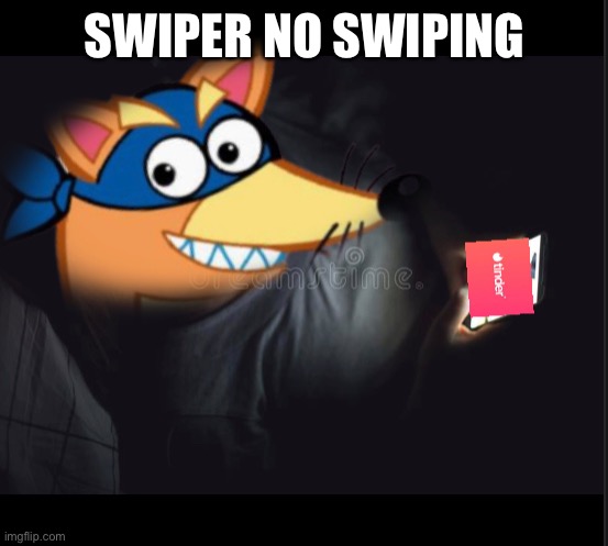 Swiper no swiping Imgflip