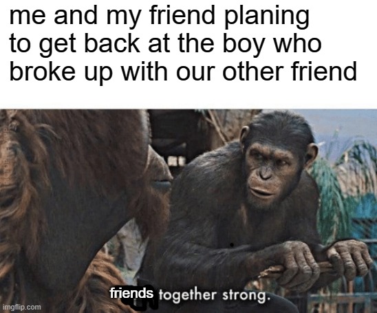 Apes together strong Memes Imgflip