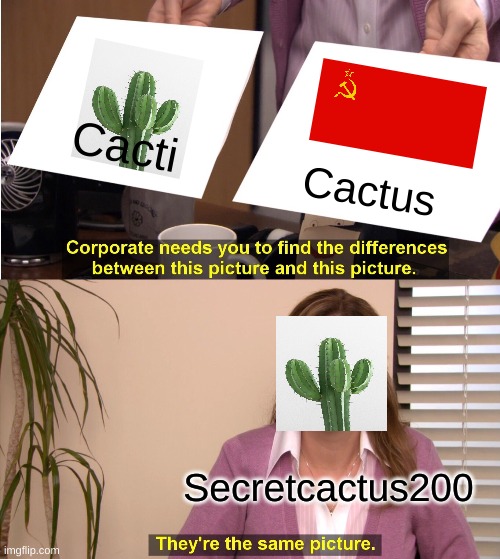 Christmas Cactus Meme They're The Same Picture Meme Imgflip