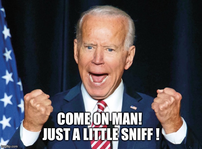 Joe Biden Sniffing Meme Generator Genshin Impact