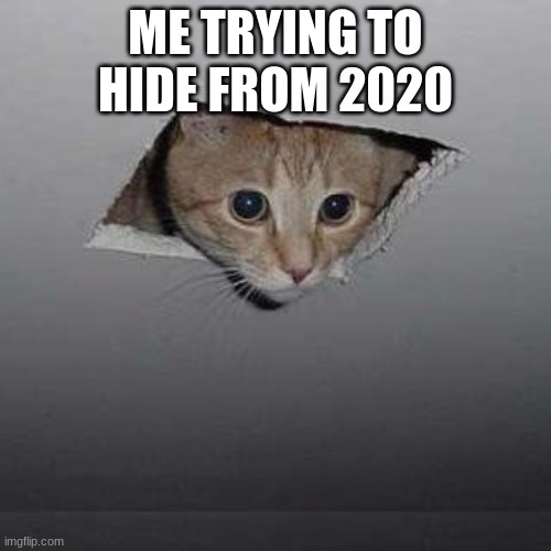 Ceiling Cat Meme Imgflip