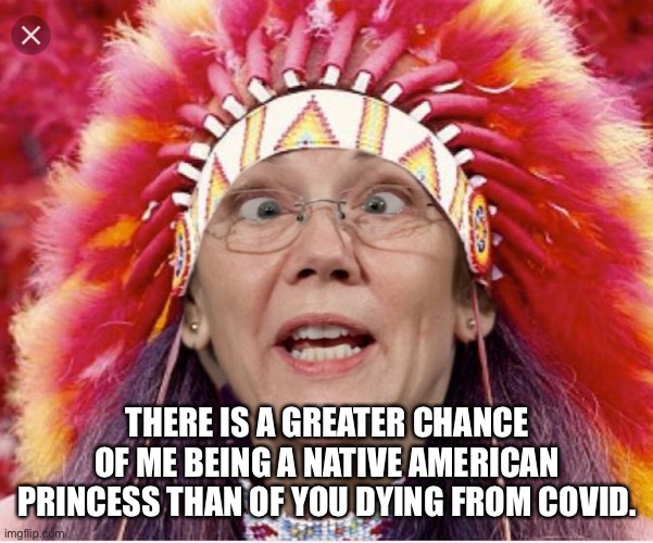 Pocahontas Warren Imgflip
