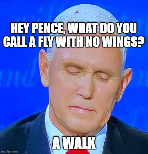 Pence fly Imgflip