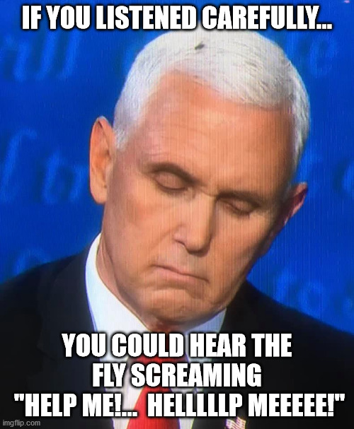 The Fly Imgflip
