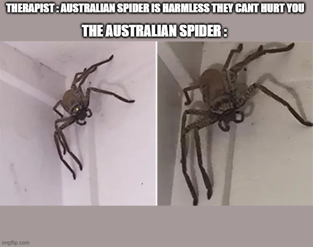 scary Imgflip