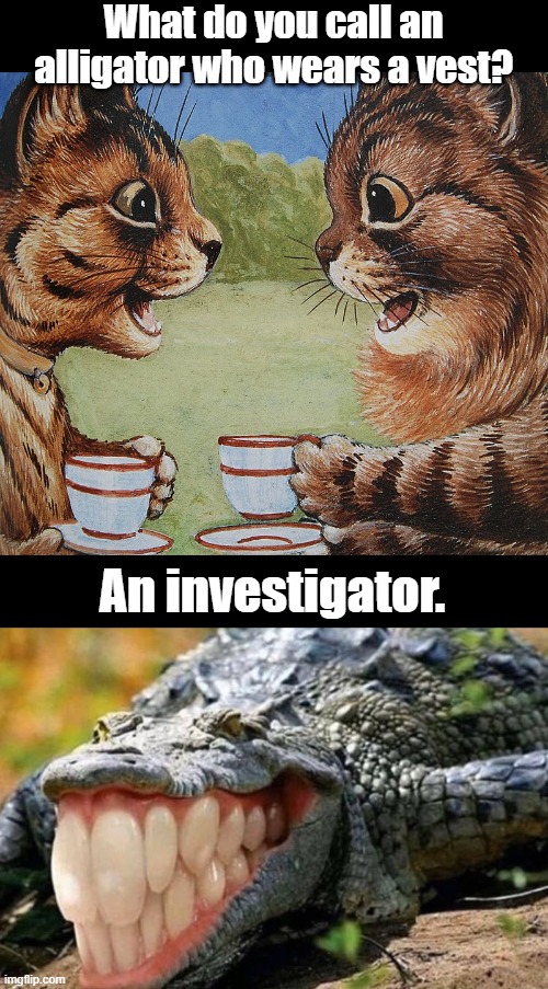 What Do You Call An Alligator Wearing A Vest fadidea
