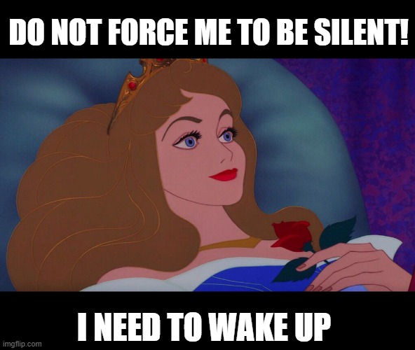 sleeping beauty feminism Imgflip