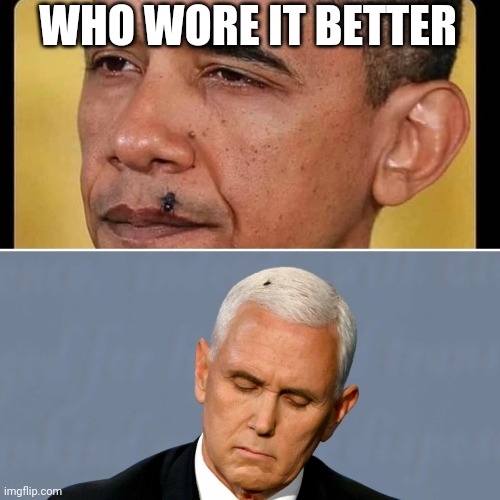 Who wore the fly better Imgflip