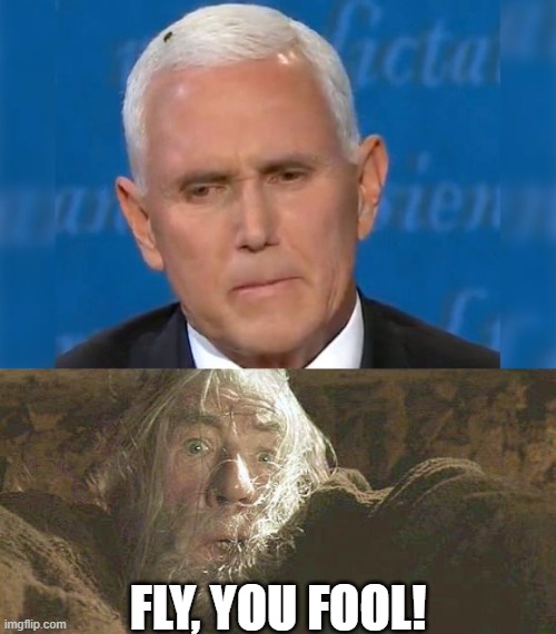 Fly, you fool! Imgflip