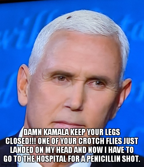 Mike Pence Fly Imgflip