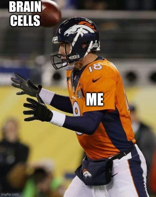 Professional Football Guy Imgflip