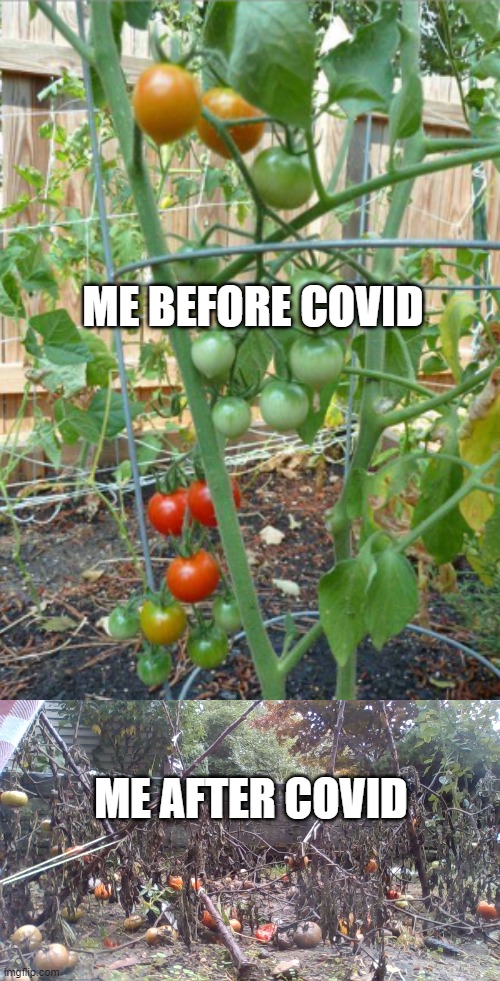 thatrandomchicken's Images Imgflip