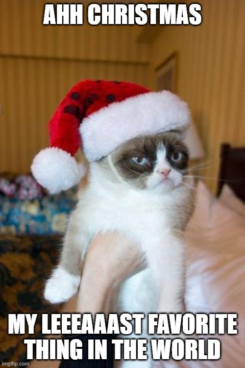 Grumpy Cat Christmas Meme Imgflip