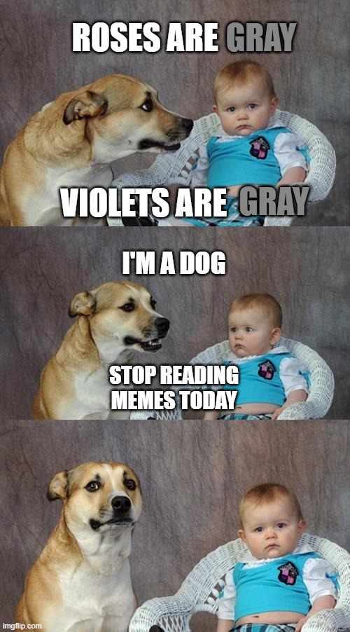 Dad Joke Dog Meme Imgflip